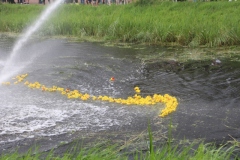 Badeendenrace-38