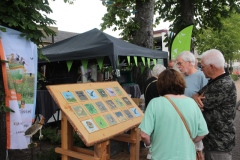 c.-Braderie-1