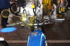 Brommers-en-Solex-14