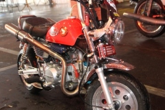 Brommers-en-Solex-4