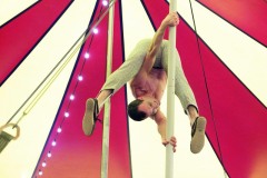 Cirkus-Salto-6
