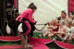 Circus-Salto-20