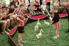 Circus-Salto-22