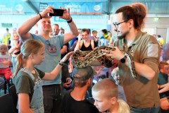reptielenshow-21
