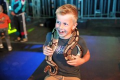 reptielenshow-26