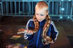 reptielenshow-31