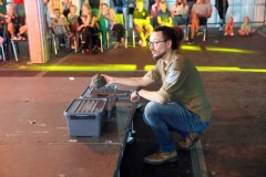reptielenshow-4