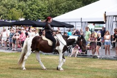 Show-met-paarden-1