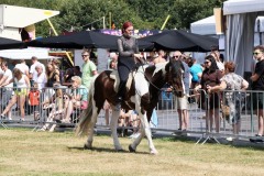 Show-met-paarden-2