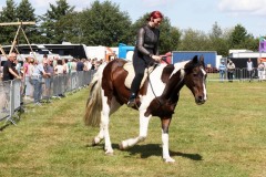 Show-met-paarden-3