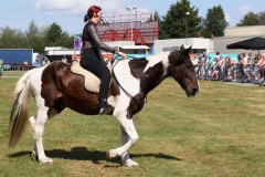 Show-met-paarden-4