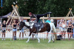 Show-met-paarden-6