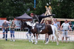 Show-met-paarden-7