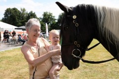 Show-met-paarden-8