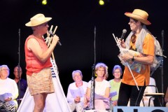 tentviering-11