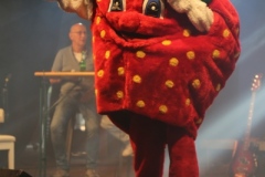 masked-singer_12
