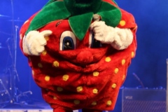masked-singer_19