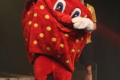 masked-singer_26