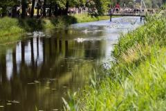 Triatlon-Feestweek-2024_Triatlon-026